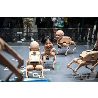 1억5천만원 김정은 로봇개 완판