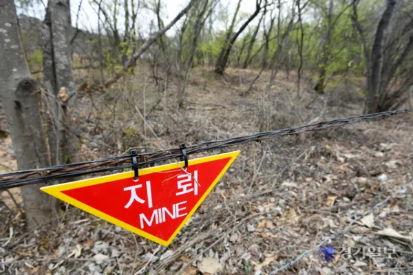 평당 6만원 지뢰밭, 로또? 무덤?