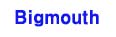 빅마우스